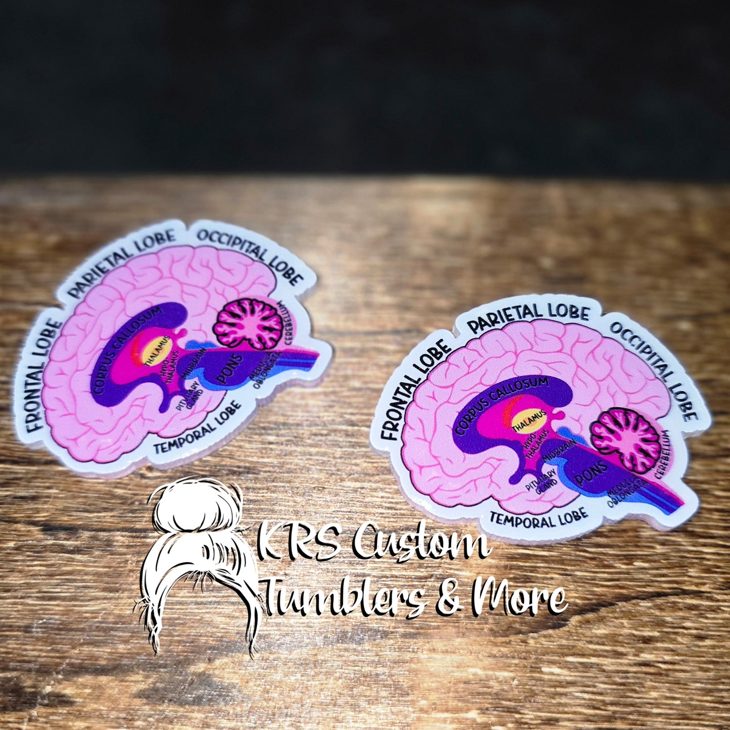 RTS Badge Reels - Labeled Brain