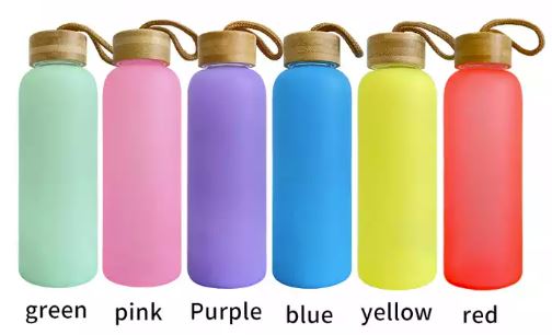 20oz Glass Water Bottles