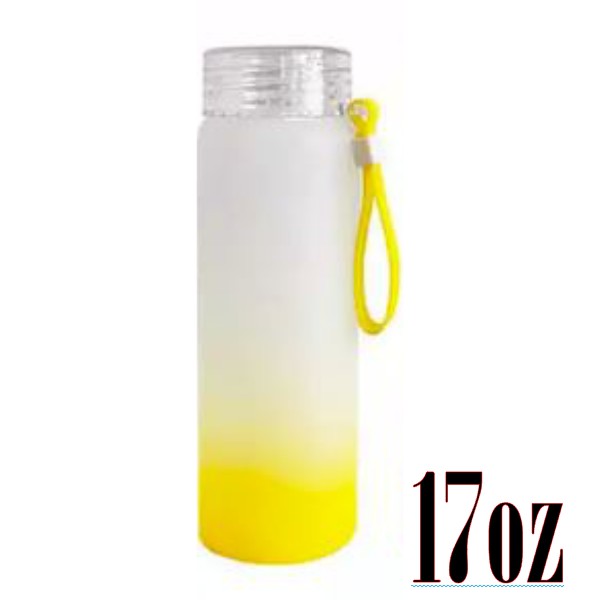 17oz Glass Water Bottles